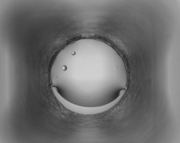 X0000110911445200907161449