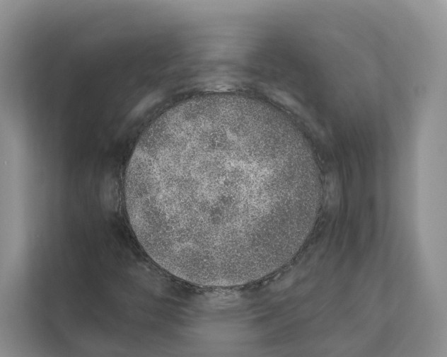 X0000110911446200907161449