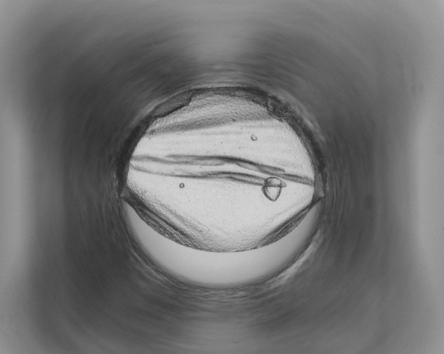 X0000110911449200907161449