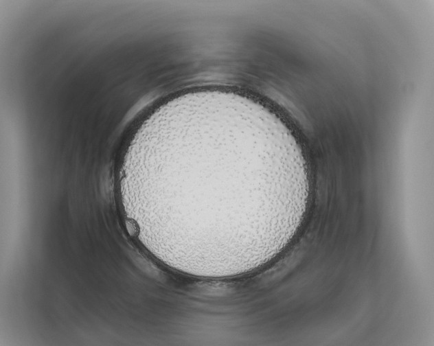 X0000110911450200907161449