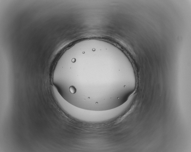 X0000110911453200907161449