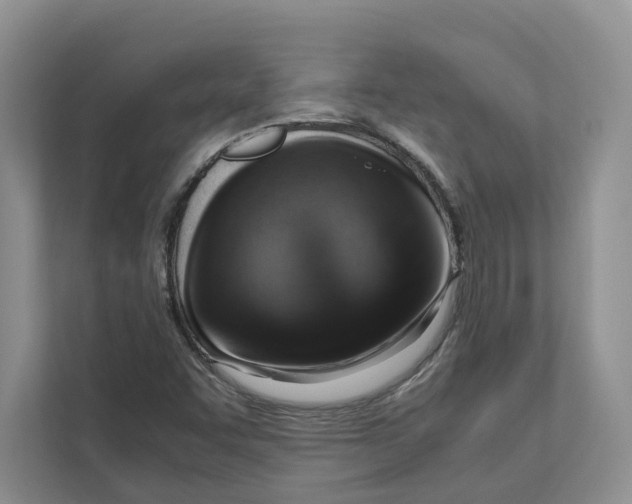 X0000110911455200907161449