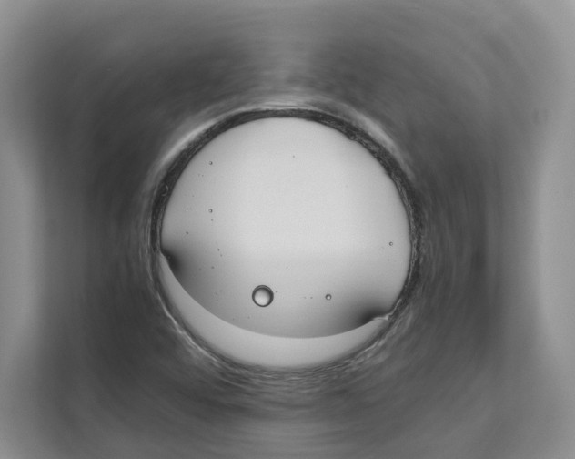 X0000110911456200907161449