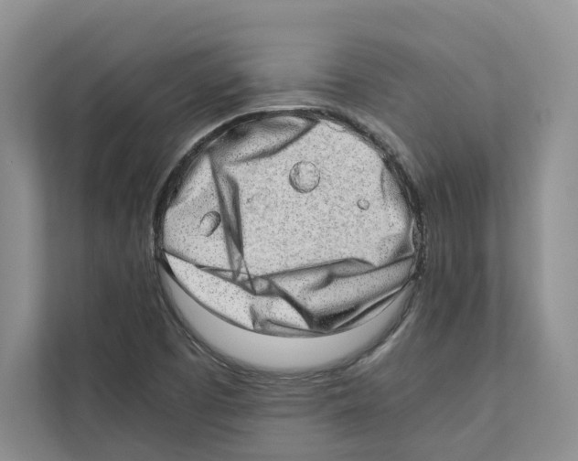 X0000110911457200907161449