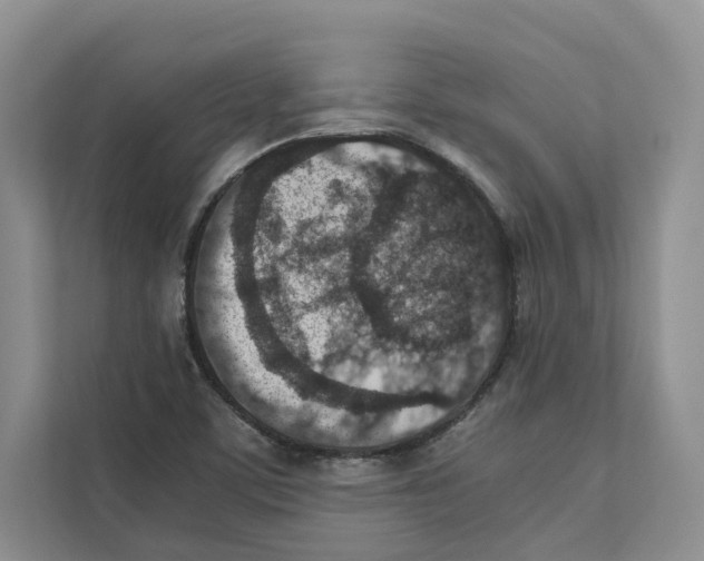 X0000110911459200907161449