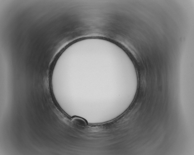 X0000110911460200907161449