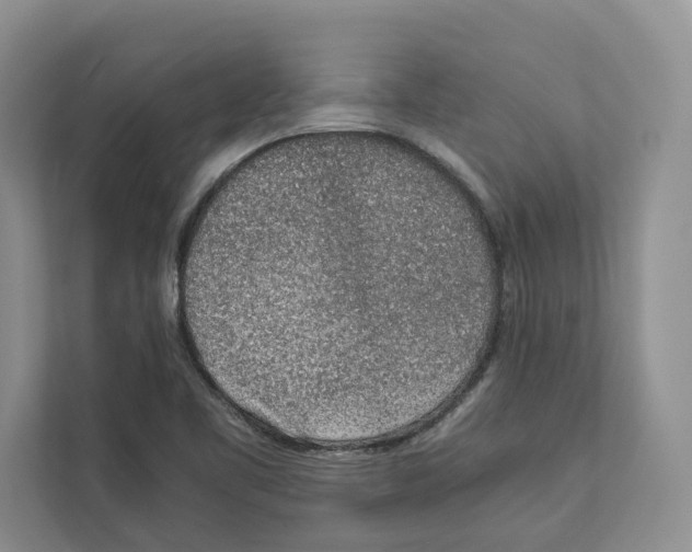 X0000110911461200907161449