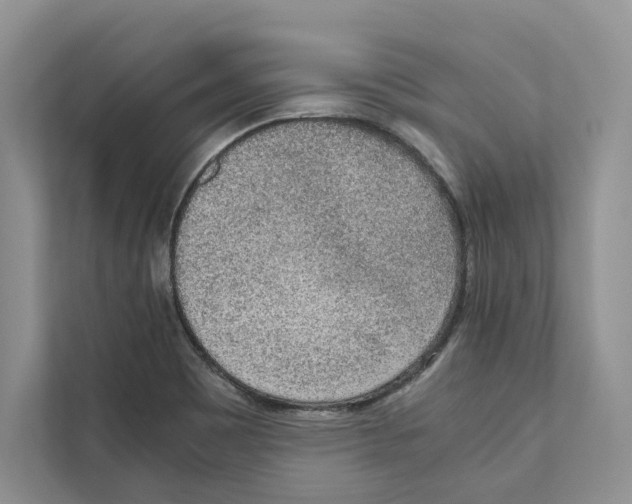 X0000110911465200907161449