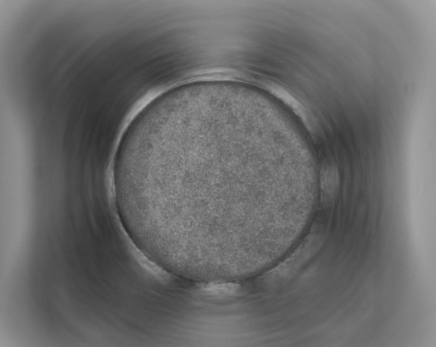 X0000110911466200907161449