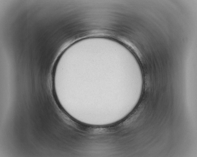 X0000110911467200907161449