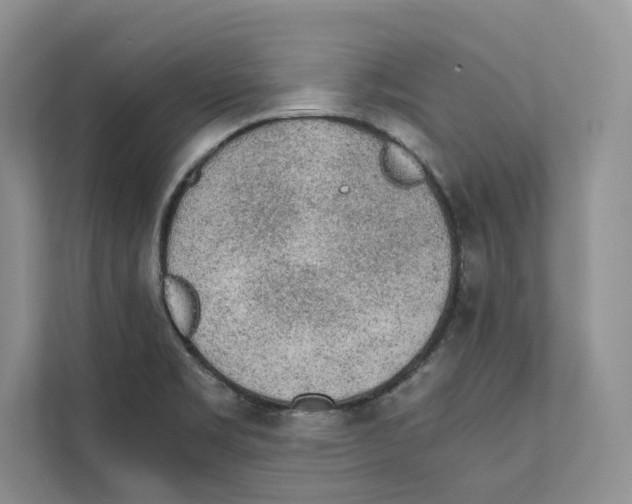 X0000110911469200907161449