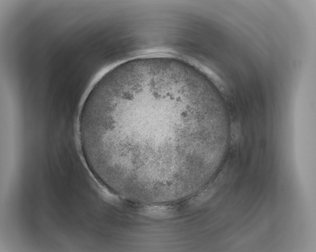 X0000110911470200907161449