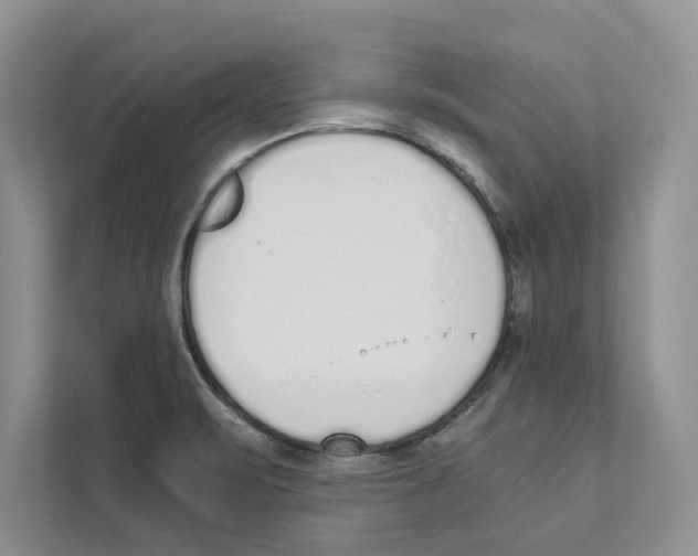 X0000110911471200907161449