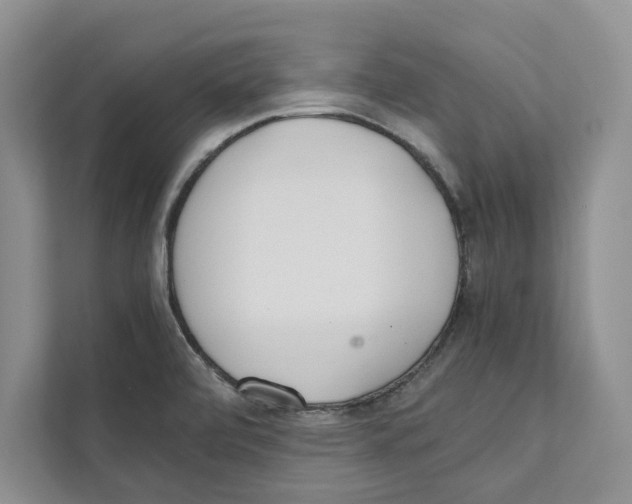 X0000110911472200907161449