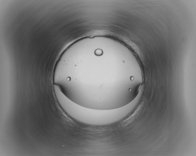 X0000110911473200907161449