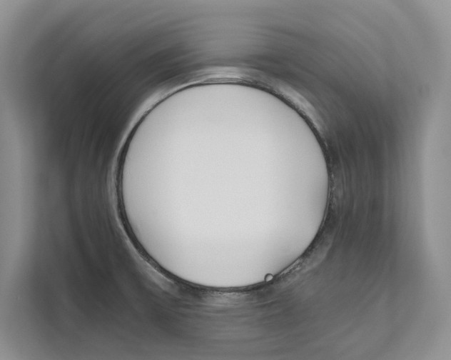 X0000110911475200907161448