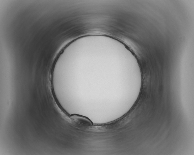 X0000110911476200907161448