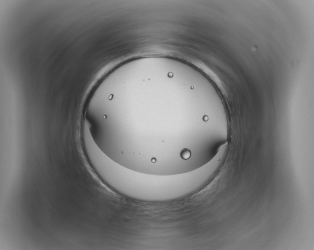 X0000110911477200907161448