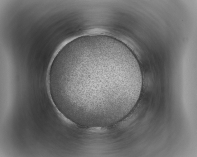 X0000110911478200907161448