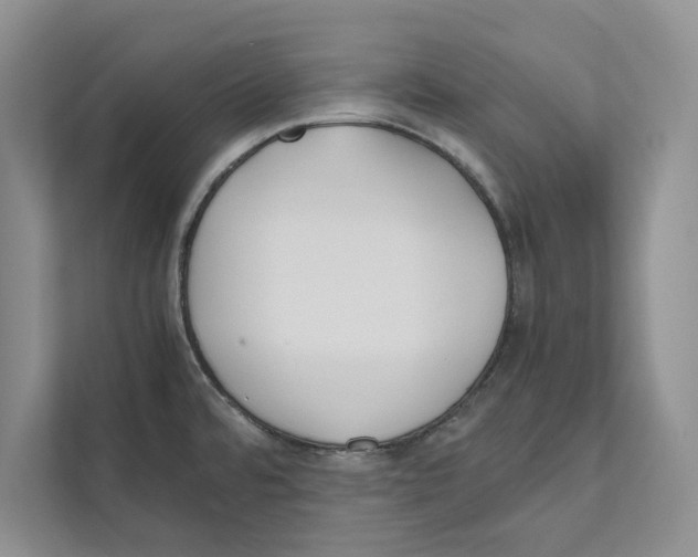 X0000110911480200907161448