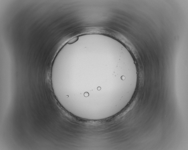 X0000110911481200907161448