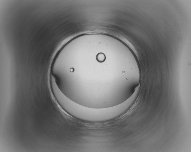 X0000110911485200907161448