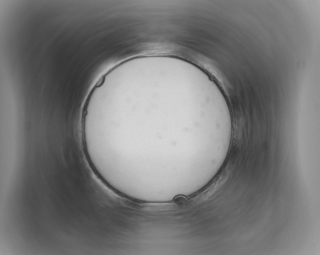 X0000110911487200907161448