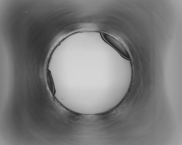 X0000110911488200907161448