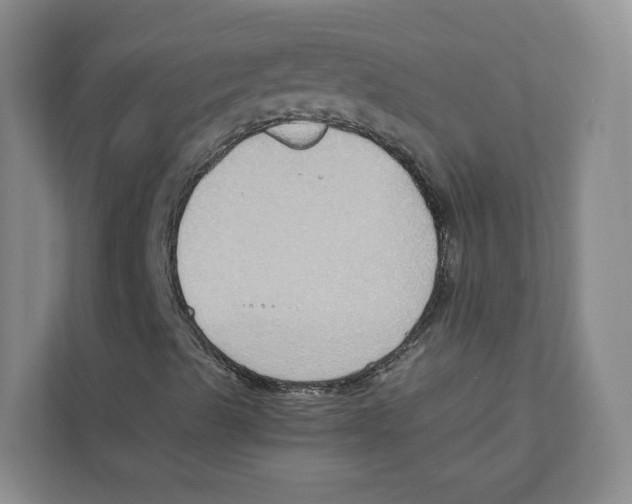 X0000110911489200907161448