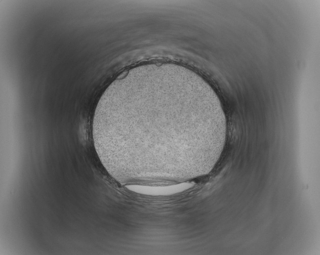 X0000110911490200907161448