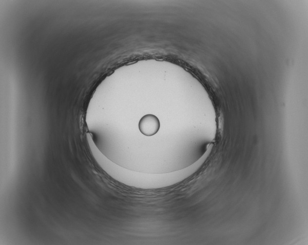 X0000110911492200907161448