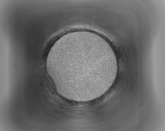 X0000110911494200907161448