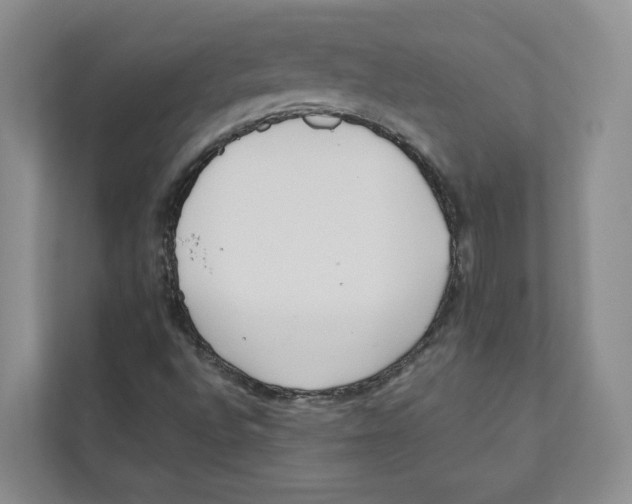 X0000110911496200907161448