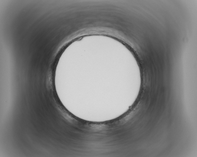 X0000110911498200907161448