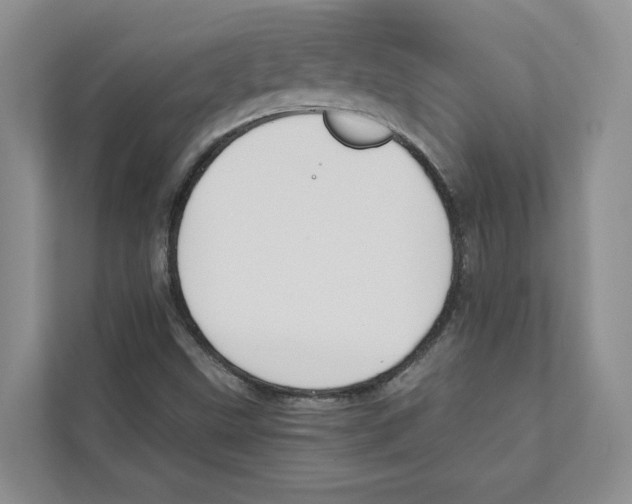 X0000110911499200907161448