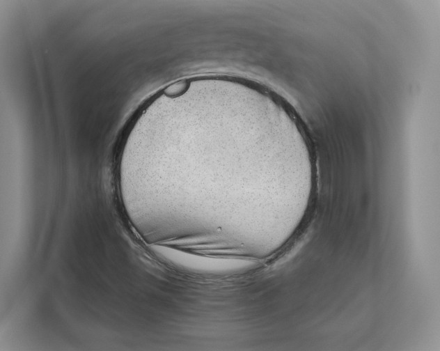 X0000110911501200907161448