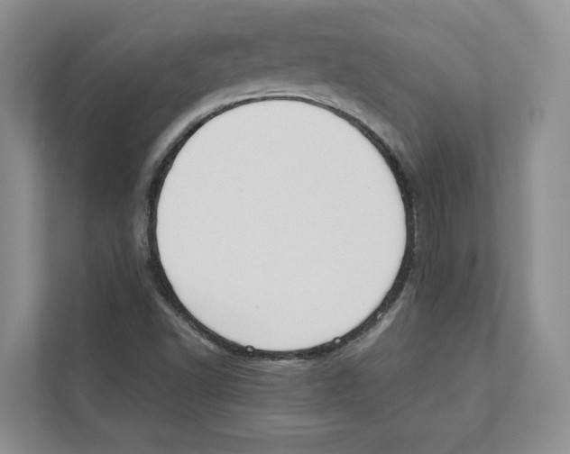 X0000110911502200907161448