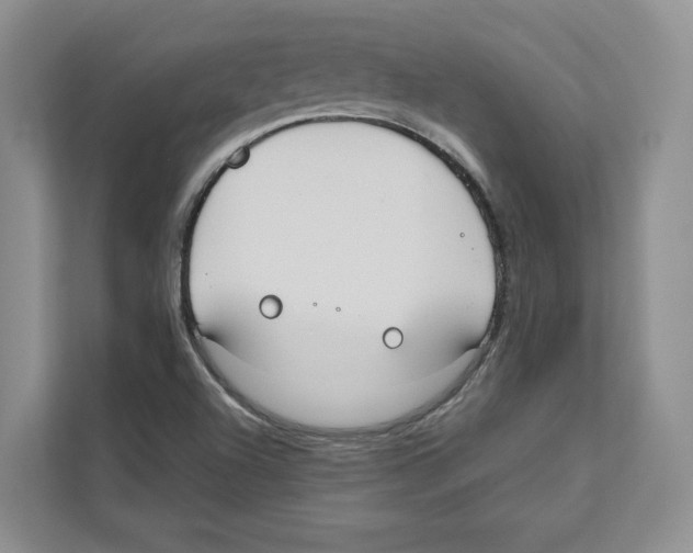 X0000110911504200907161448