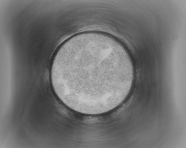 X0000110911505200907161448