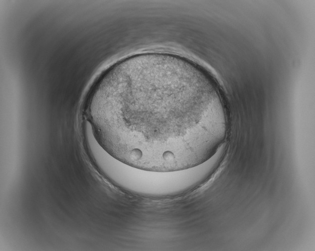 X0000110911506200907161448