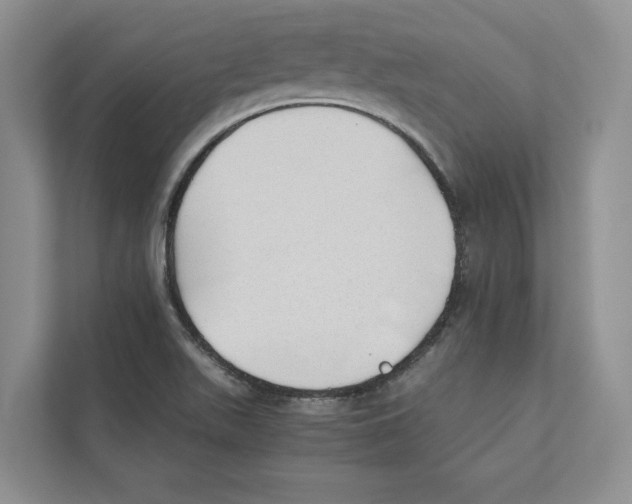 X0000110911511200907161448