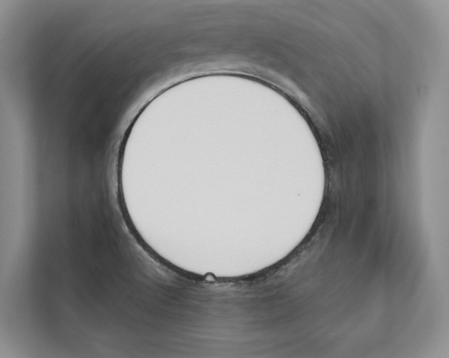 X0000110911512200907161448