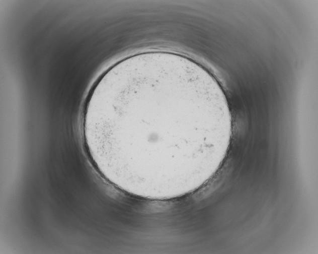 X0000110911514200907161448