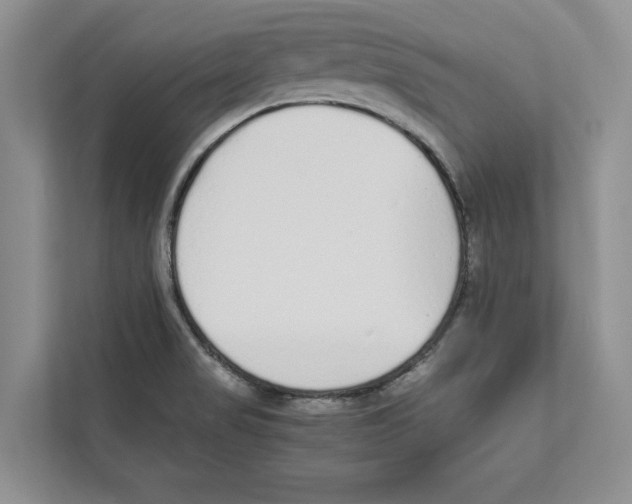 X0000110911517200907161448