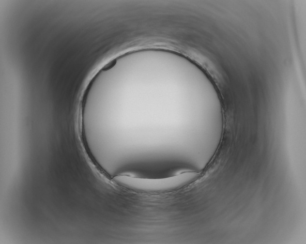 X0000110911520200907161448