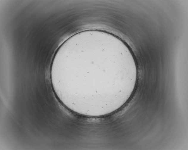 X0000110911521200907161448