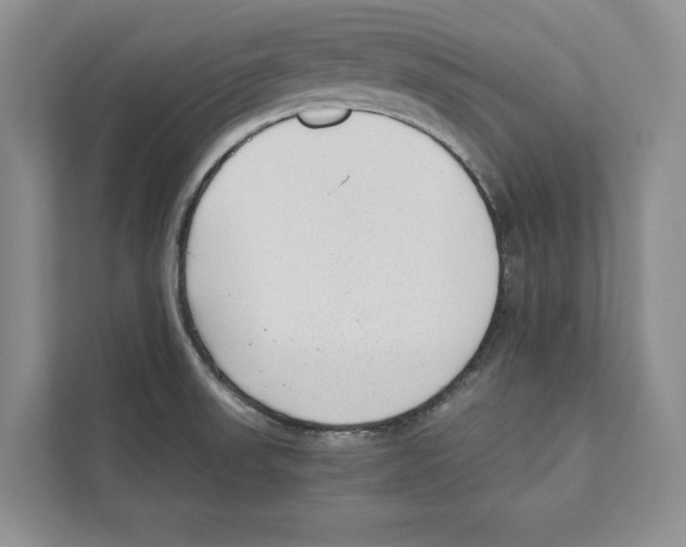 X0000110911523200907161448