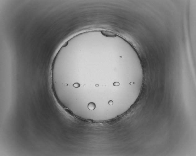 X0000110911524200907161448