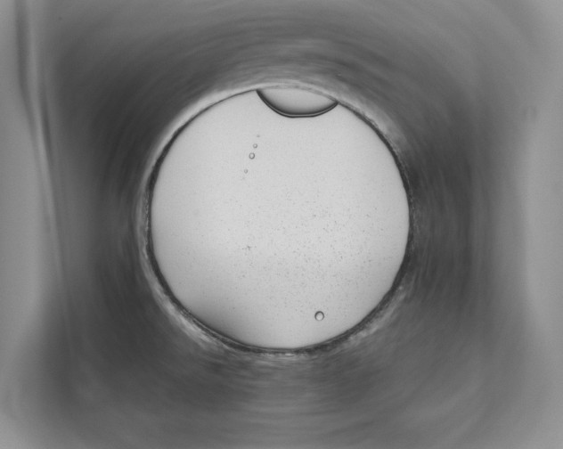 X0000110911526200907161448