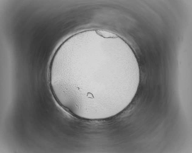 X0000110911527200907161448